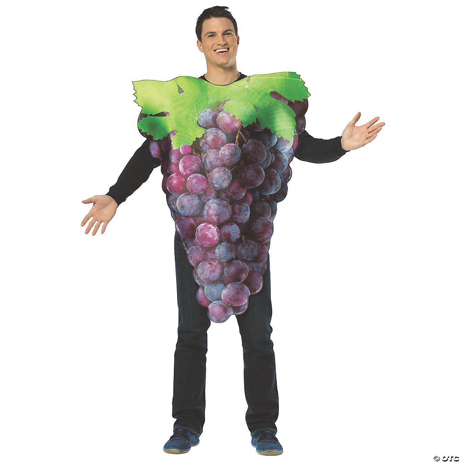 Rasta Imposta Men's Get Real Bunch Of Purple Grape Costume - Standard