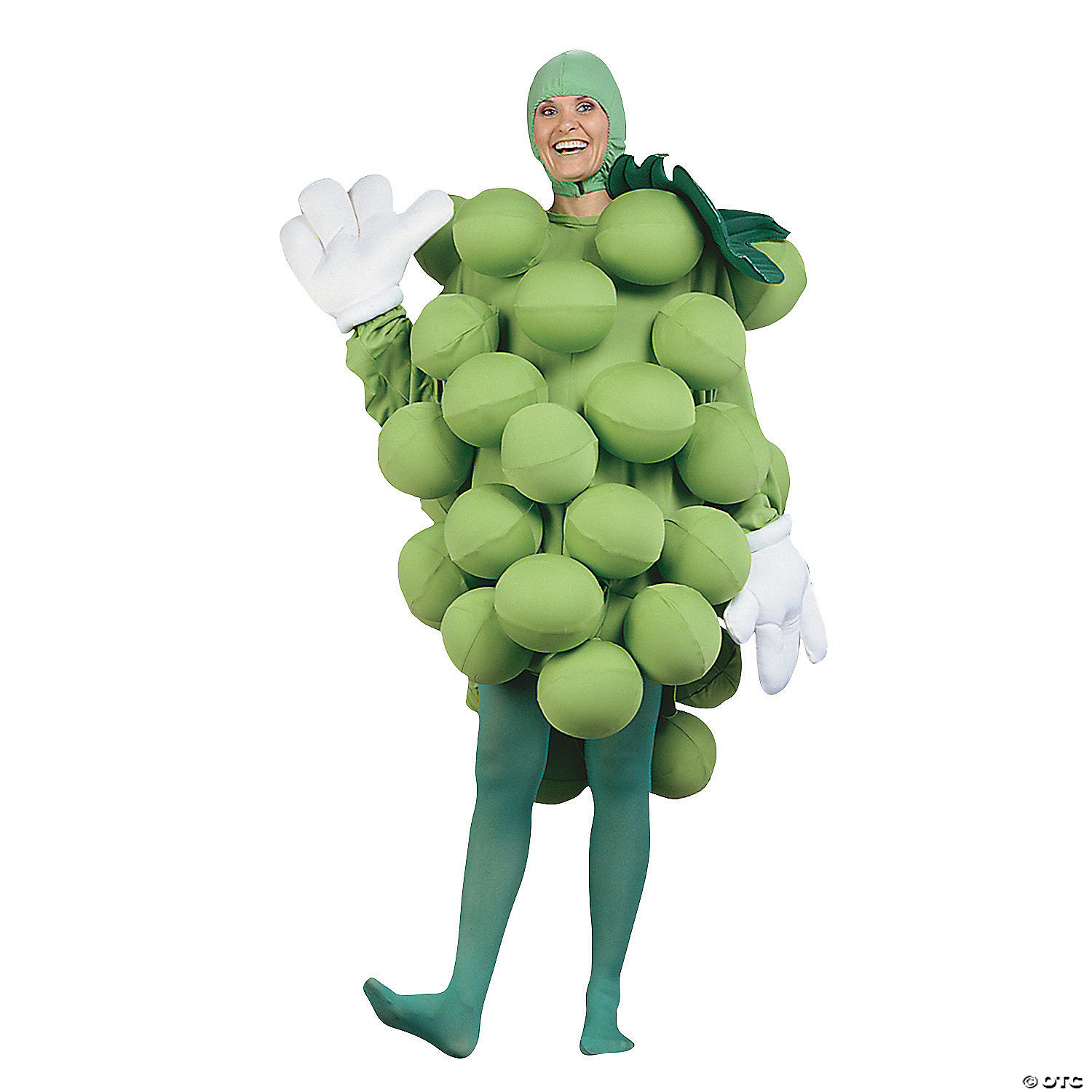 Seasonal Visions International Women's Grapes Green Adult Costume - Standard