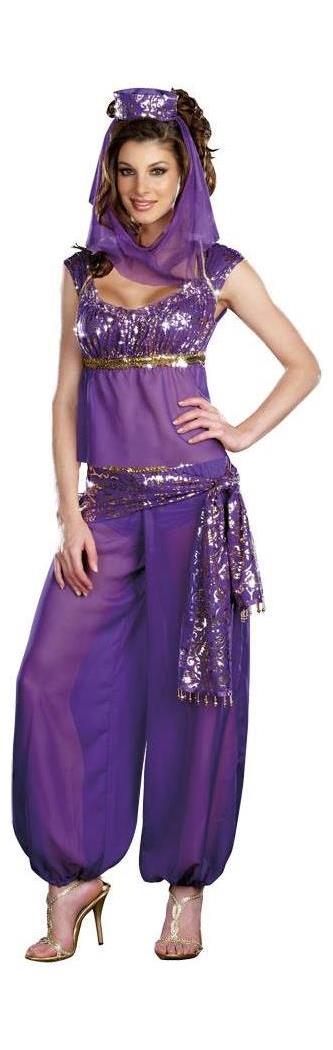 Dreamgirl Women's Ally Kazam Costume - 14-16