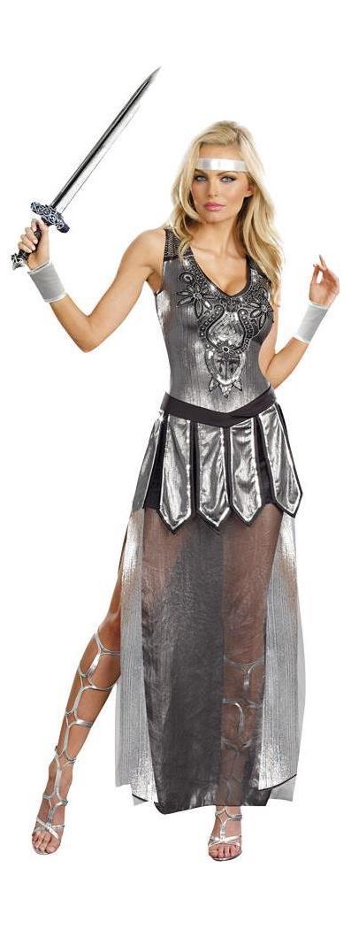 Dreamgirl Women's One Hot Knight Costume - 2-6