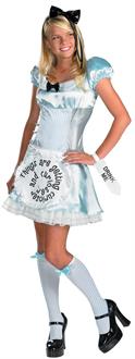 Alice in Wonderland Alice Adult Costume