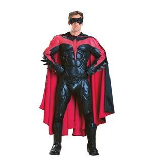 Collectors Robin Adult Costume