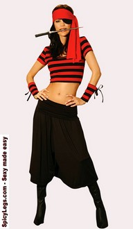 Mistress Pirate Costume