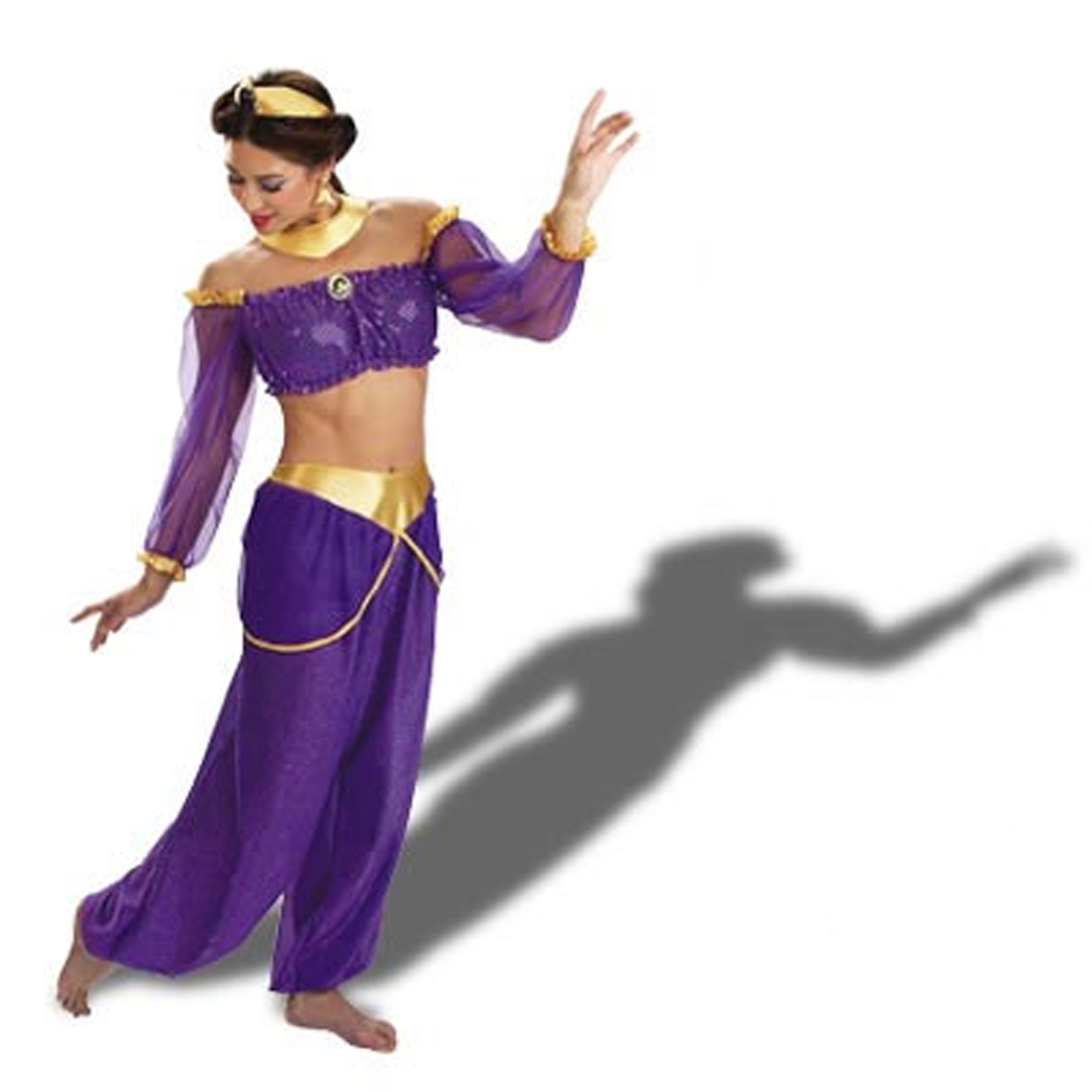 Aladdin Disney Jasmine Deluxe Adult Costume 