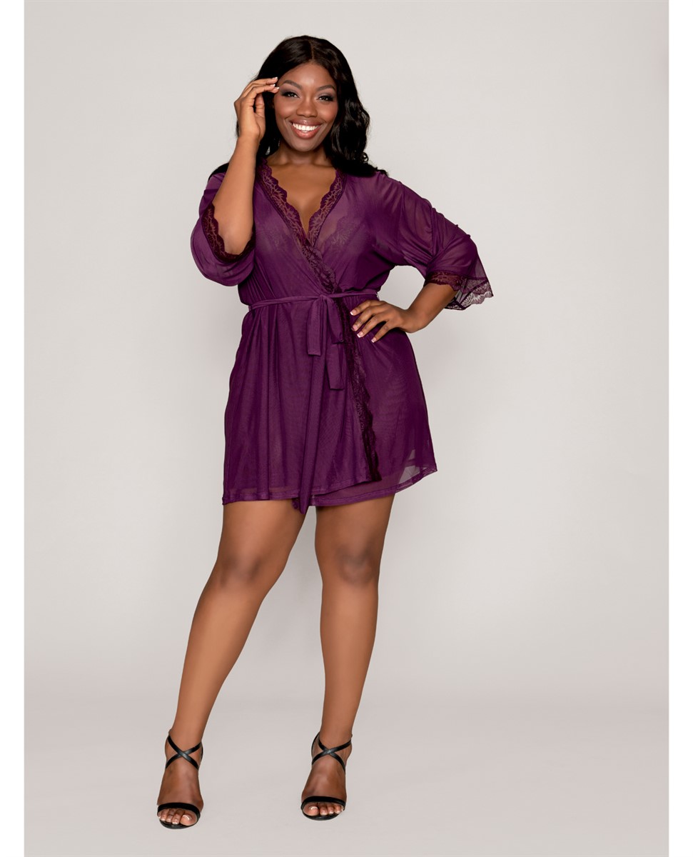 Stretch Mesh Chemise and Robe Plum - SpicyLegs.com