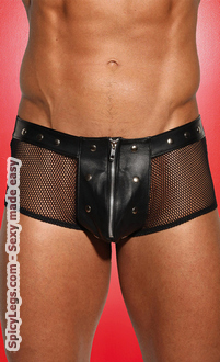 Leather and Fishnet Shorts