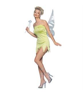 Fairy Adult Costume