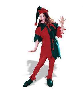 Complete Elf Adult Costume