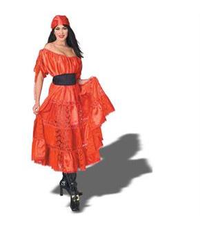 Pirate Wench Adult