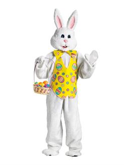 Bunny Mascot Plus Costume
