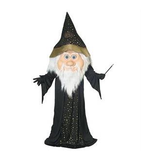 Parade Wizard Adult Costume