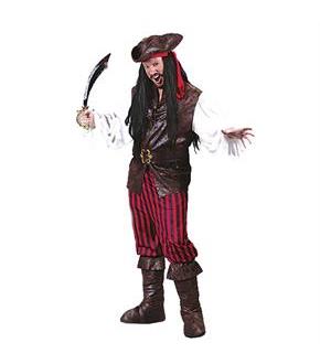 High Seas Pirate Man Adult Costume