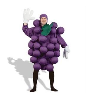 Purple Grapes Adult Costume