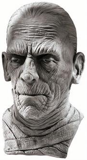 Universal Studios Mummy Mask