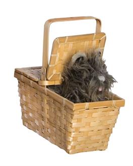 The Wizard of Oz Toto In Basket Deluxe