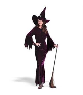 Elegant Plum Witch Adult Costume
