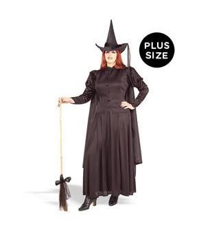 Classic Witch Adult Plus Costume