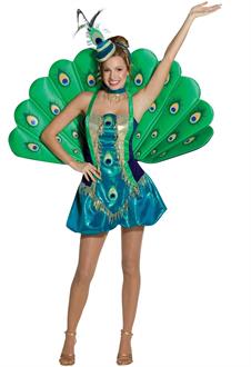 Peacock Adult