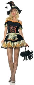 Fairytale Witch Costume