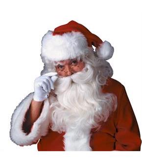 Santa Beard and Wig Feature Set