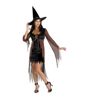 Captivating Witch Adult Costume