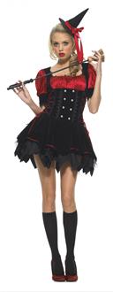 Love Spell Witch Adult Costume