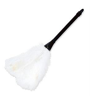 Feather Duster