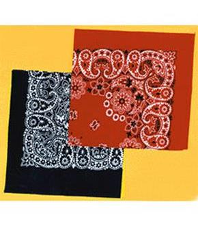 Railroad Bandana
