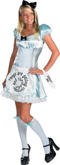 Alice in Wonderland Tween/Teen Costume