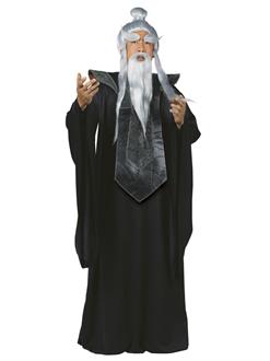 Sensei Master Adult Costume