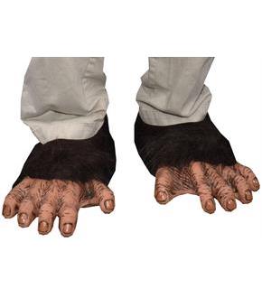 Adult Chimp Feet