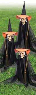 Witchly Group (set of 3)