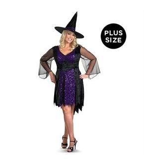 Brilliantly Bewitched Adult Plus Costume