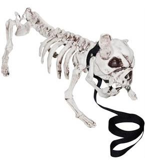 Skeleton Dog Decoration Prop