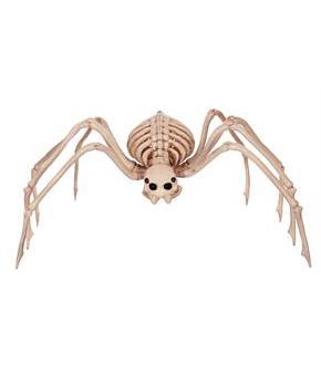 Skeleton Spider