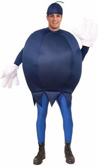 Blueberry Adult Costume One-Size