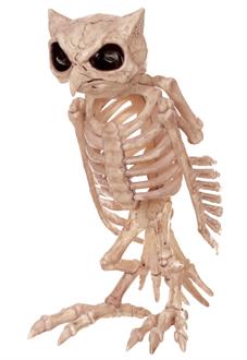 Skeleton Owl