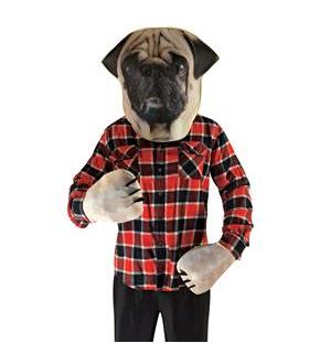 Pug Adult Animal Kit