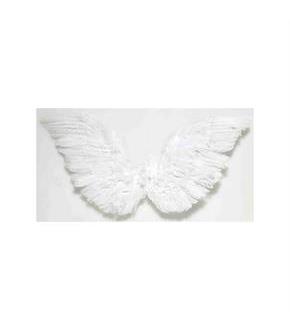 White Small Angel Wings