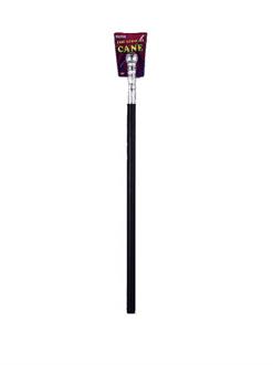 Silver Handle Cane