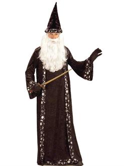 Oh Mr. Wizard Adult Costume