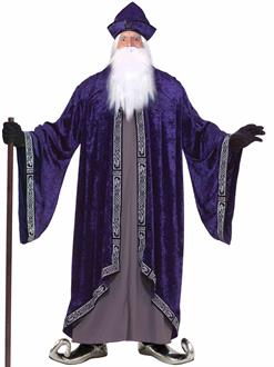 Grand Wizard Adult Plus Costume