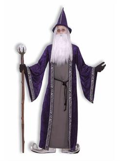 Wizard Adult Costume