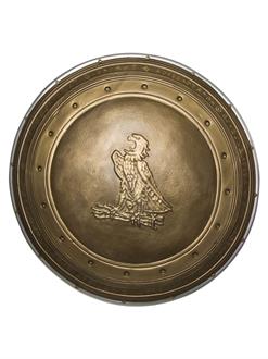 Justice League: Wonder Woman 24 shield