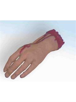 Severed Hand