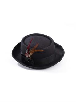 Black Pork Pie Adult Hat With Feather