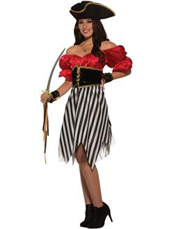 Womens Pirate Matey Lady Costume
