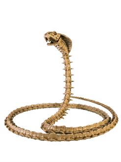 Skeleton Cobra Prop