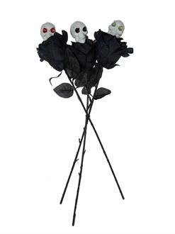 Skull & Black Rose Trio