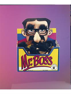 Mr Boss Eyeglasses